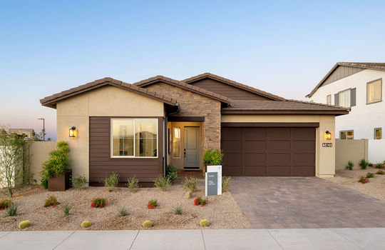 Starling at Waterston North