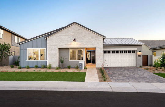 Whimbrel at Waterston North