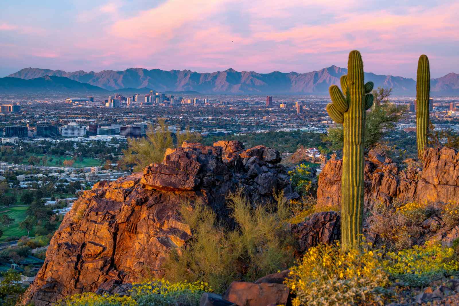 Don't Move To Phoenix Unless You're Okay With These 5 Things