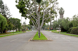 Beverlywood Vicinity