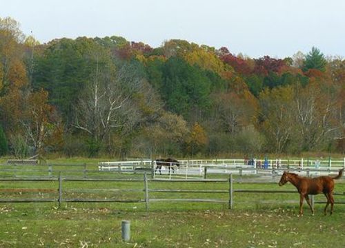 A Fall Day in the Pasture
