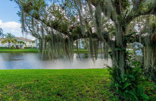 37-web-or-mls-DSC07754