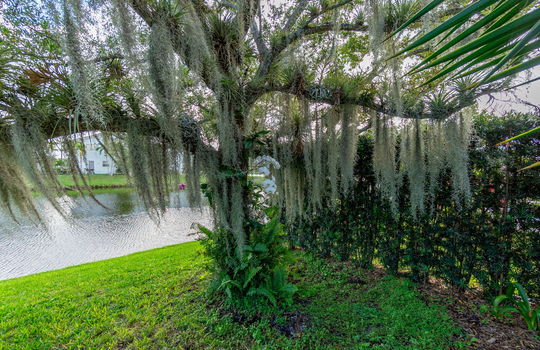 38-web-or-mls-DSC07753