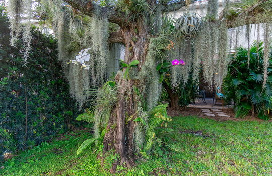 39-web-or-mls-DSC07759