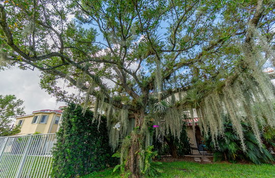 41-web-or-mls-DSC07767