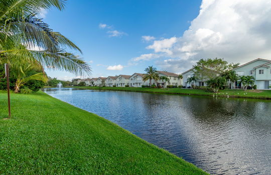 46-web-or-mls-DSC07763