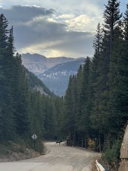 IMG_0653