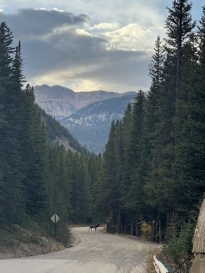 IMG_0653
