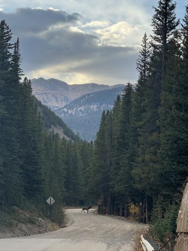 IMG_0653