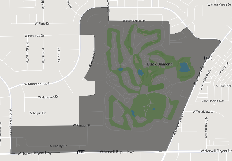 Black Diamond Coldwell Banker Next Generation Citrus County Florida