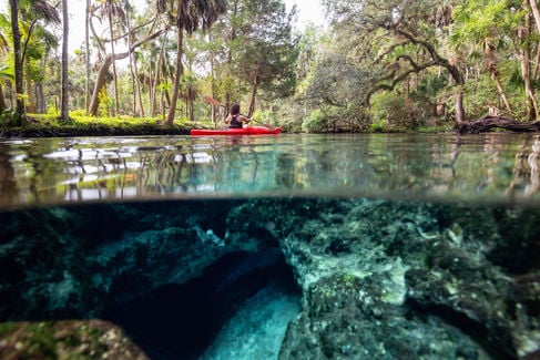Citrus County Florida Beautiful Springs