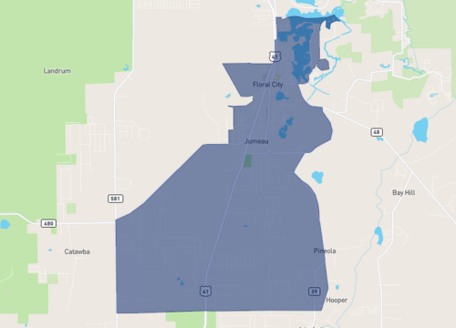 floral city area guide.png