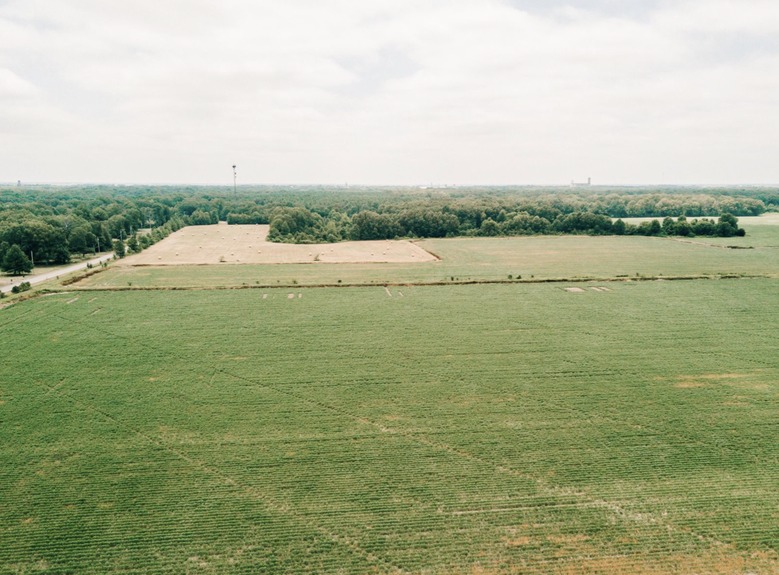 Screenshot 2025-06-20 at 1.28.08 PM