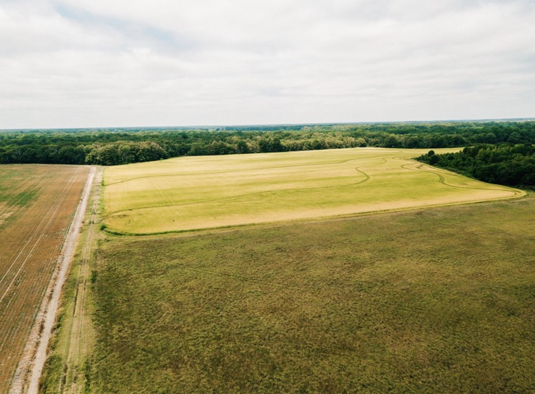 Screenshot 2025-06-20 at 1.28.15 PM