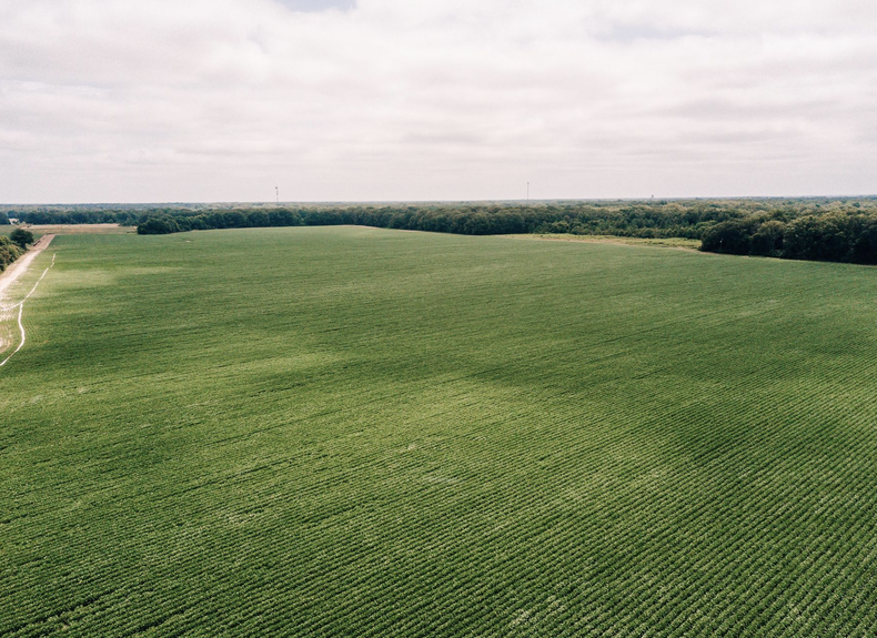 Screenshot 2025-06-20 at 1.29.37 PM