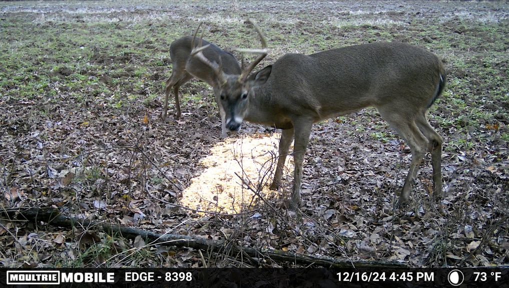 MOULTRIE DIGITAL CAMERA