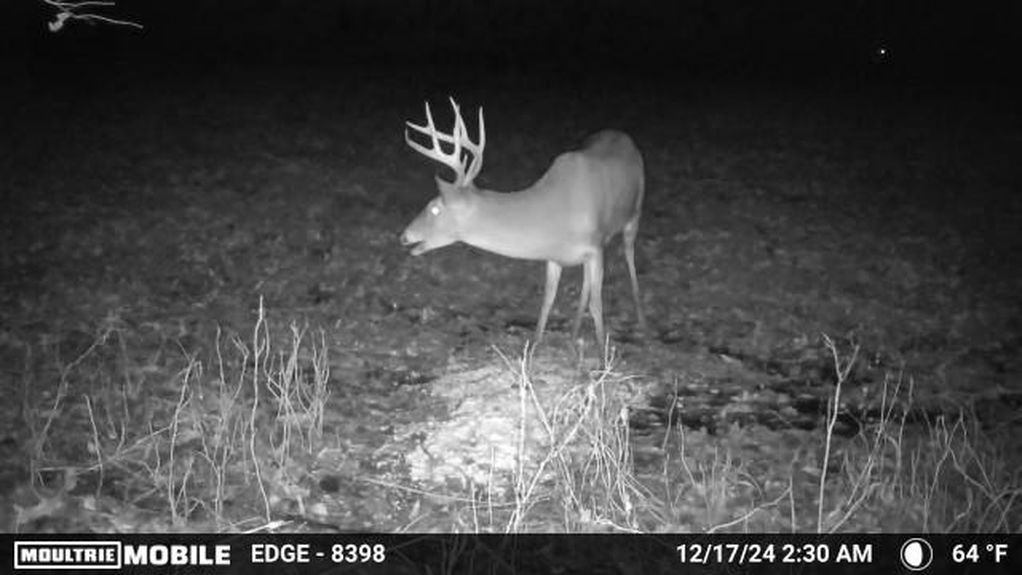 MOULTRIE DIGITAL CAMERA