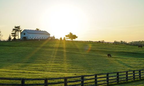 Essential Acreage Buying Tips