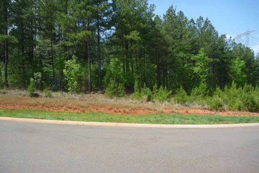 Photo &#8211; 2109 Wood Clough Court, Belmont, NC