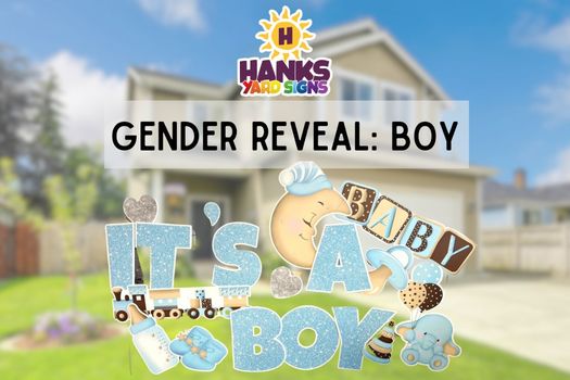 Gender Reveal Boy - 2025