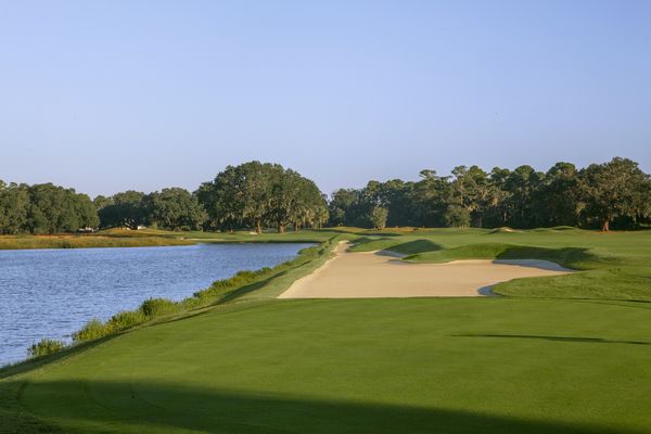 Colleton River Plantation Dye Course