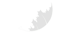 2871f5e1-851e-4fe6-aa8d-c234bb0be6b812