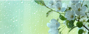 april-showers-300x114.fit