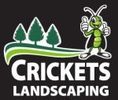 Crickets Logo (2)