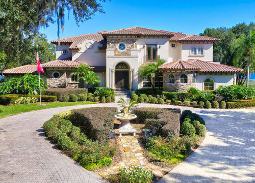 house-yard-front-of-house-palm