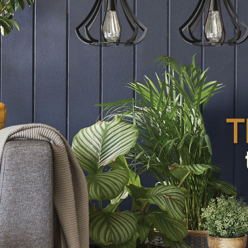 Home Design Trends to Watch in 2018