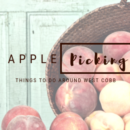 Apple Picking - Things to Do Around West Cobb and North Georgia
