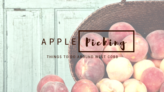 Apple Picking - things to do around West Cobb & North Georgia