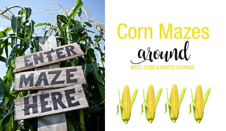 Corn Mazes Around West Cobb & North Georgia
