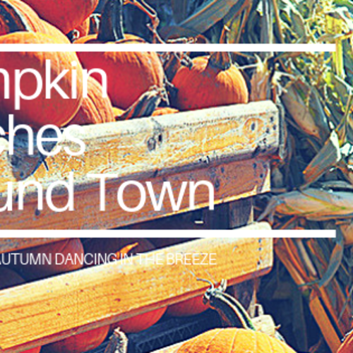Pumpkin Patches Around West Cobb & North Georgia