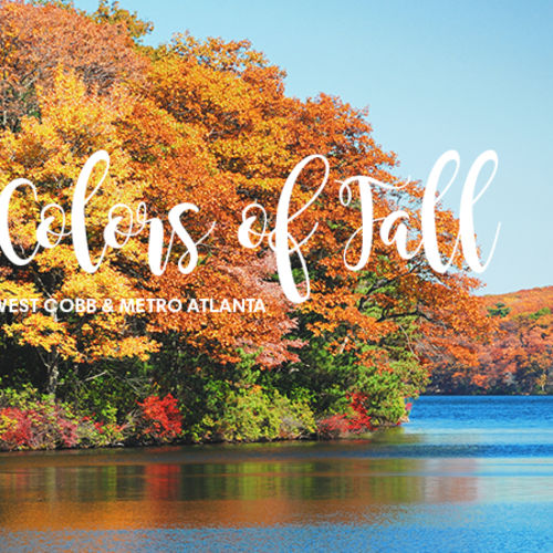 The Colors of Fall Around West Cobb