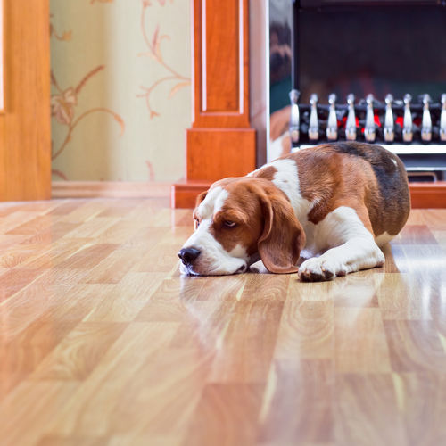 Heated Flooring – Is It Worth the Cost?
