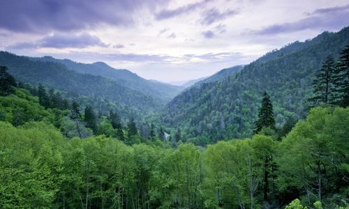 A Local's Guide to the Best Weekend Drives &hellip;