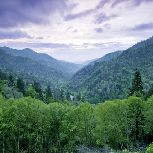 A Local's Guide to the Best Weekend Drives from NW Metro Atlanta