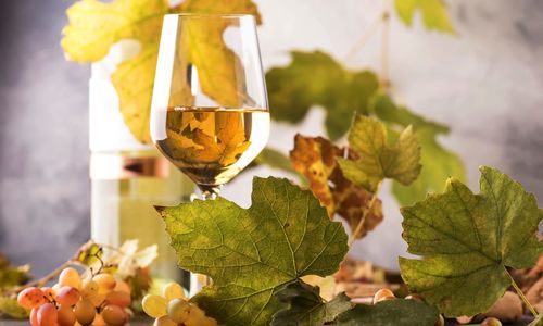 The Dahlonega Plateau AVA: Georgia's Premier Wine Region &hellip;