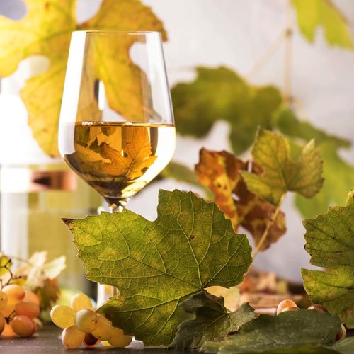 The Dahlonega Plateau AVA: Georgia's Premier Wine Region Is Just 90 Minutes Away