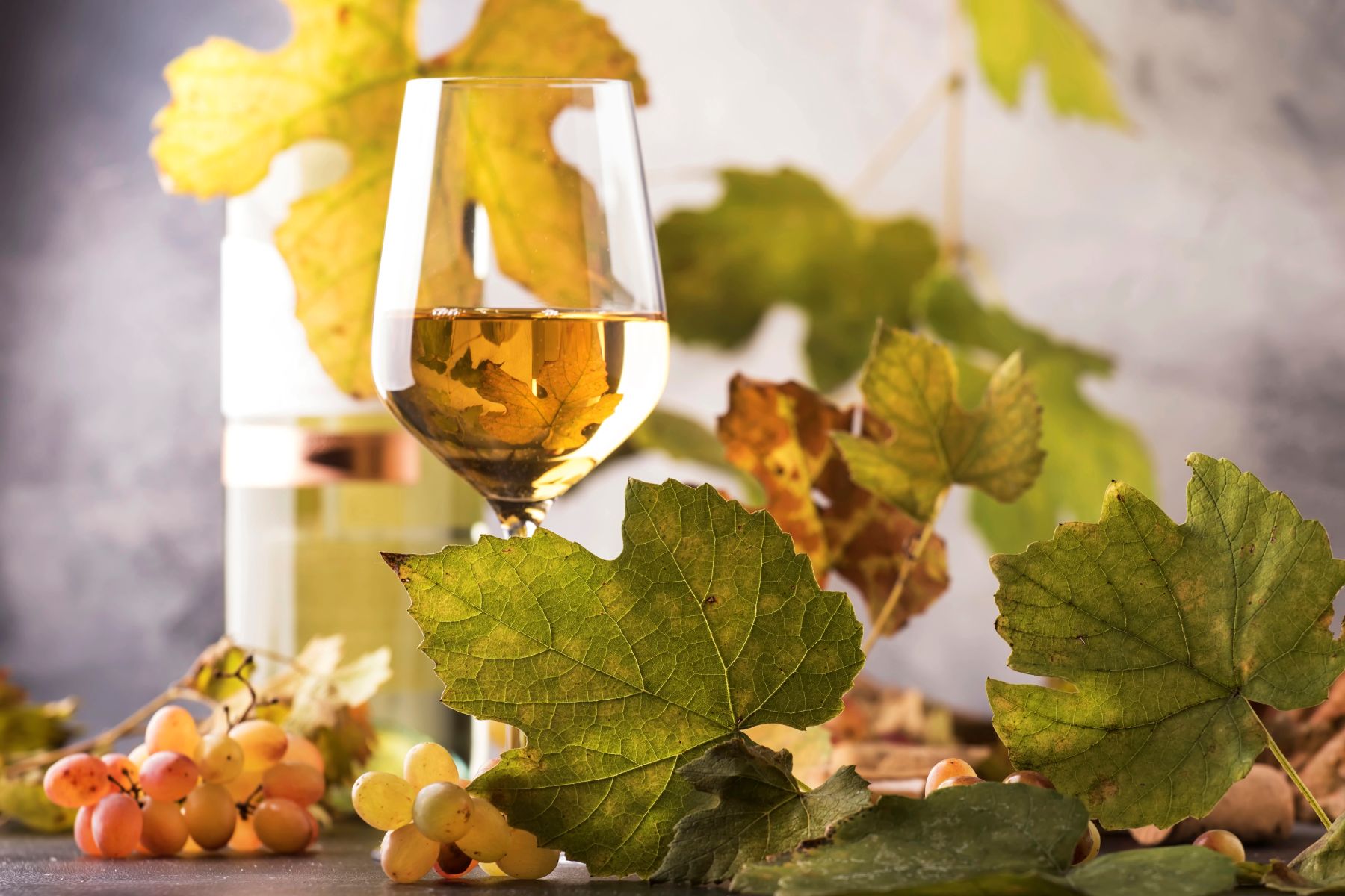 The Dahlonega Plateau AVA: Georgia's Premier Wine Region Is Just 90 Minutes Away