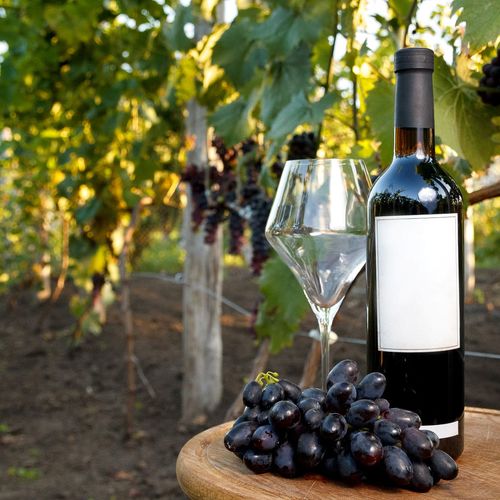 The Upper Hiwassee Highlands AVA: North Georgia's Hidden Wine Country Deserves a Spot on Your Map