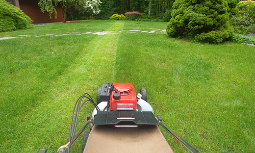 Summer Lawn and Landscape Care in NW Metro &hellip;