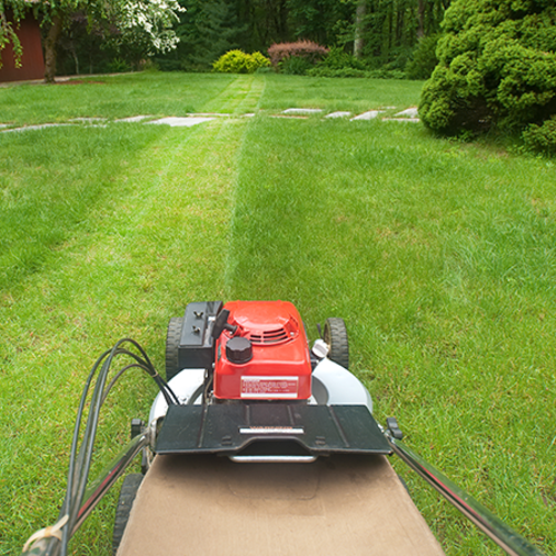 Summer Lawn and Landscape Care in NW Metro Atlanta