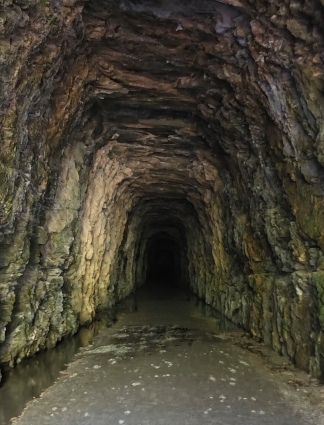 A Day Exploring Stumphouse Tunnel, Issaqueena Falls, and &hellip;