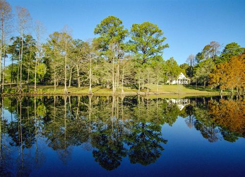 mick-haupt-0pUBZhM1vYE-unsplash (1)