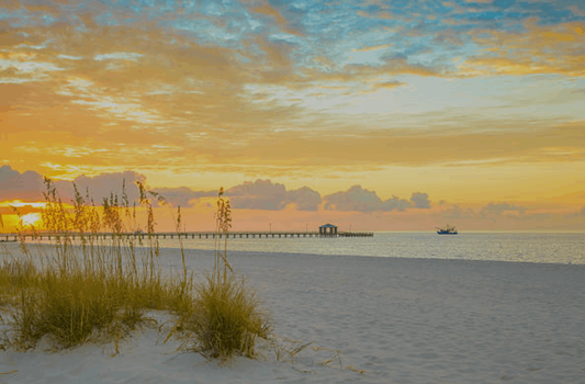 Mississippi Gulf Coast Properties