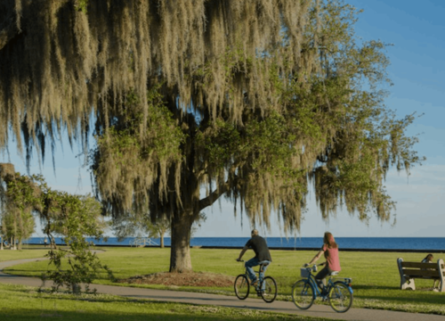 Screenshot 2024-01-11 at 9.54.08 PM (1)