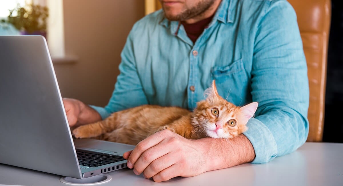 Avoiding Surprises When Moving to an HOA Community