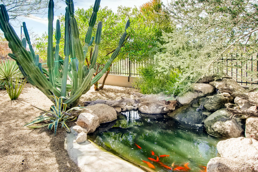 2746 N Estrada Mesa AZ 85207-large-034-035-Koi Pond-1500×1000-72dpi